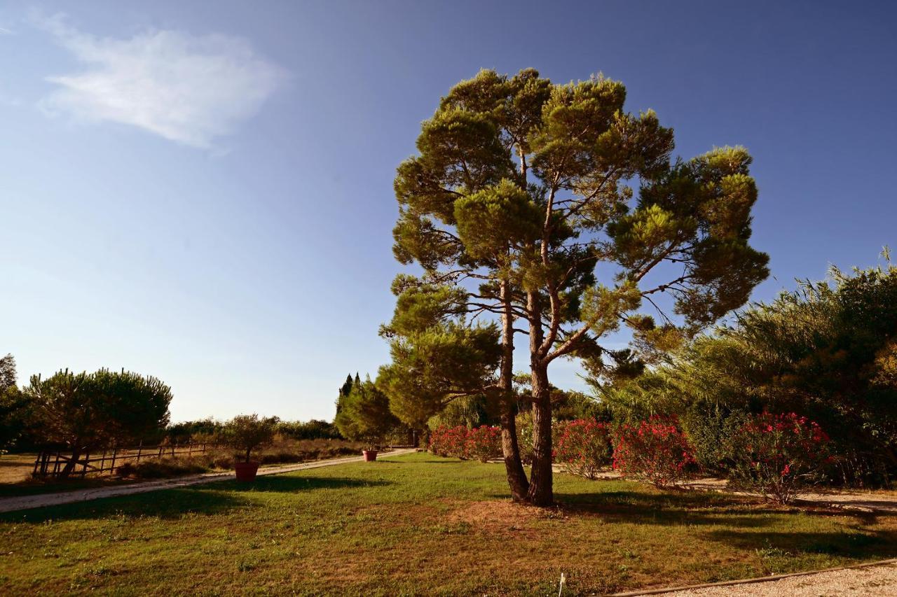 Maison Tara Verte Au Mas Montredon Αρλ Εξωτερικό φωτογραφία