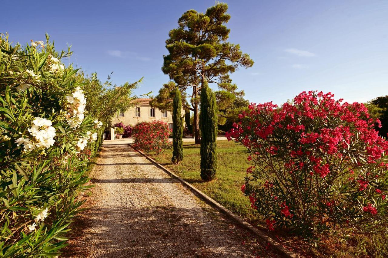 Maison Tara Verte Au Mas Montredon Αρλ Εξωτερικό φωτογραφία