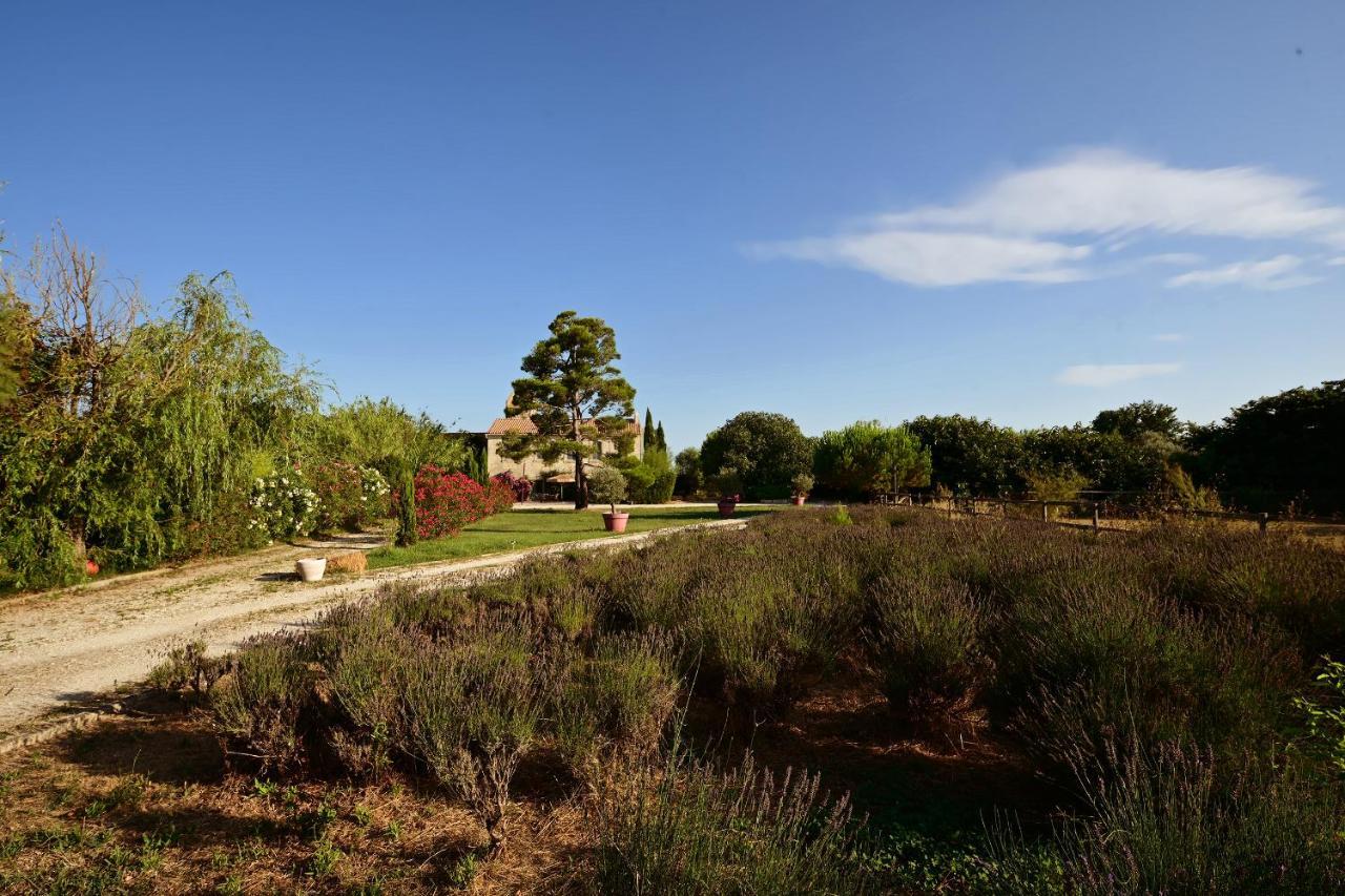 Maison Tara Verte Au Mas Montredon Αρλ Εξωτερικό φωτογραφία