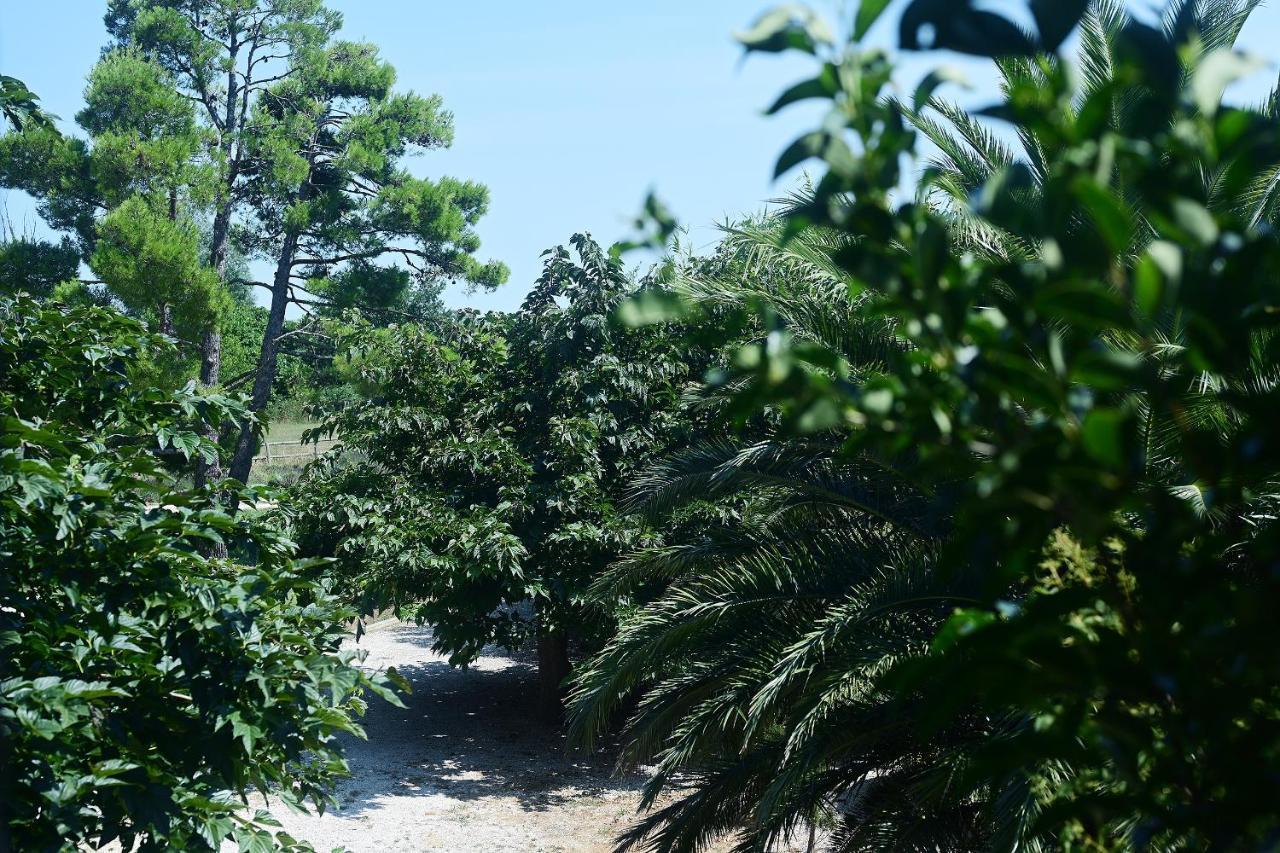 Maison Tara Verte Au Mas Montredon Αρλ Εξωτερικό φωτογραφία