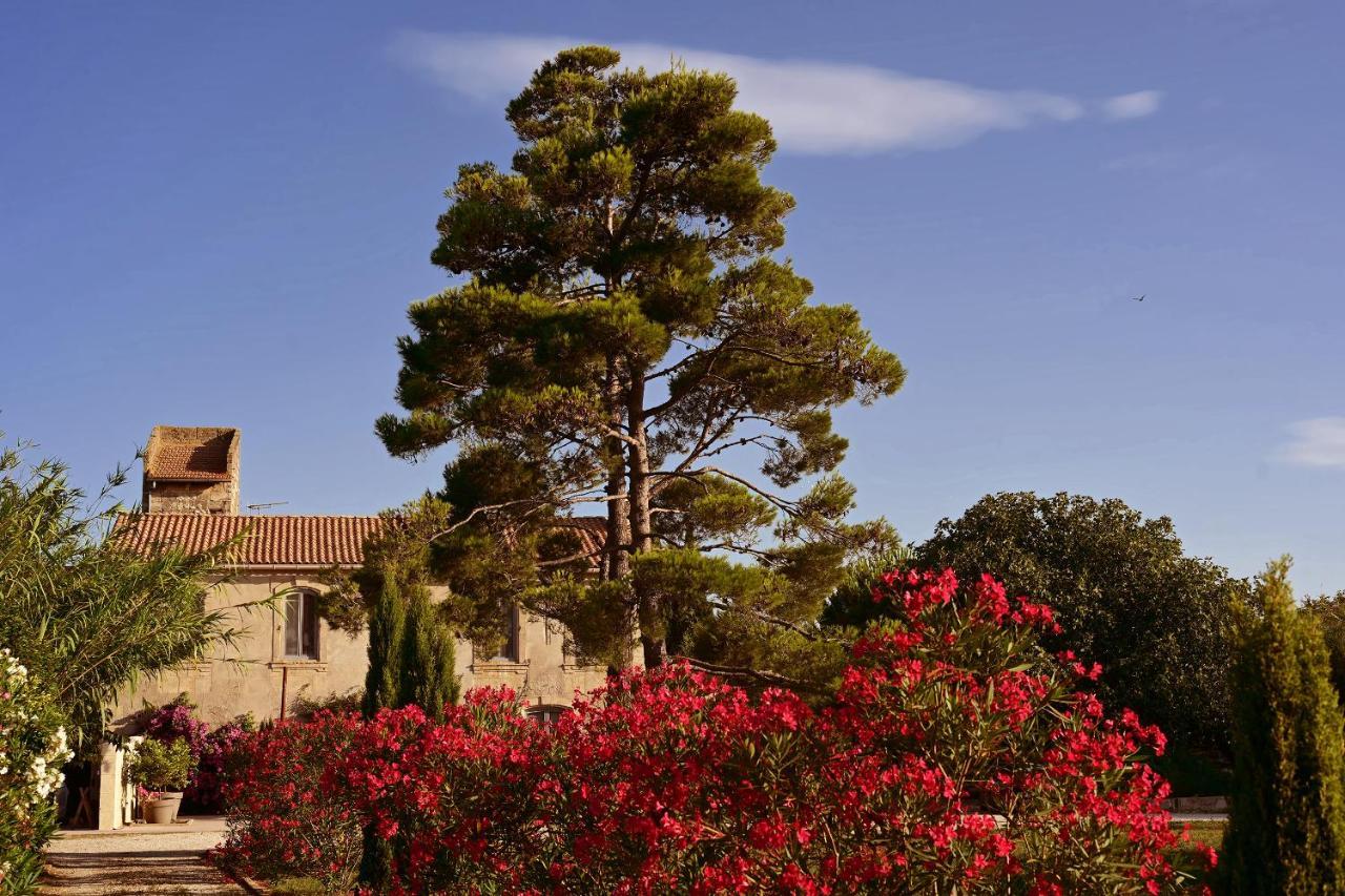 Maison Tara Verte Au Mas Montredon Αρλ Εξωτερικό φωτογραφία