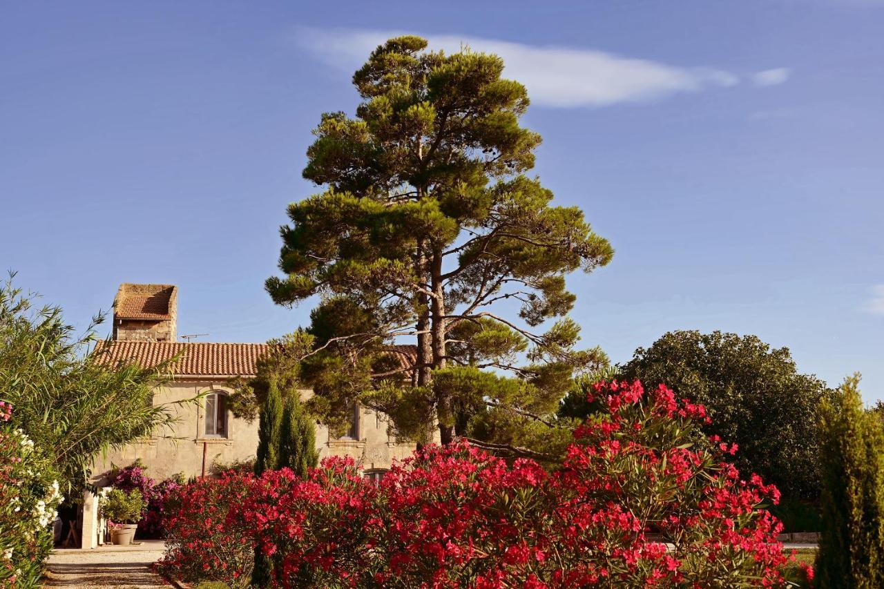 Maison Tara Verte Au Mas Montredon Αρλ Εξωτερικό φωτογραφία