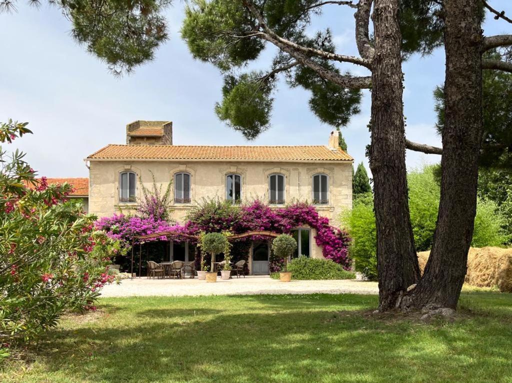 Maison Tara Verte Au Mas Montredon Αρλ Εξωτερικό φωτογραφία